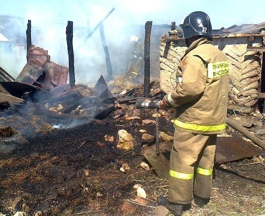 Пожар в Таловском районе