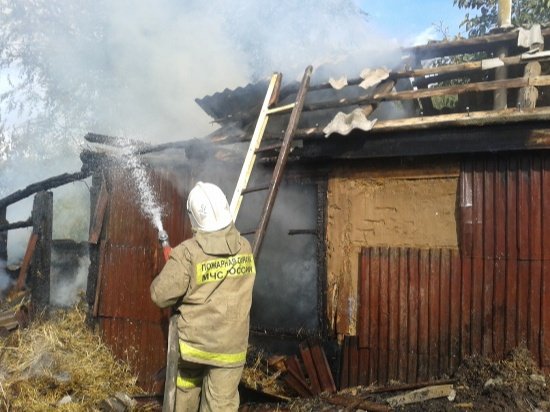 Пожар в Таловском районе