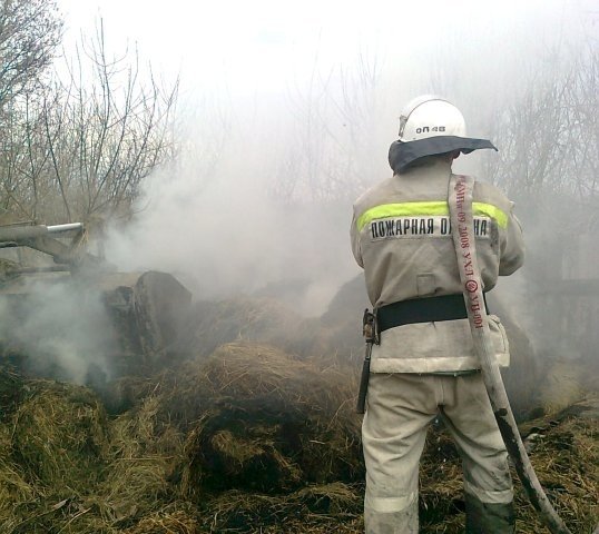 Пожар в Таловском районе